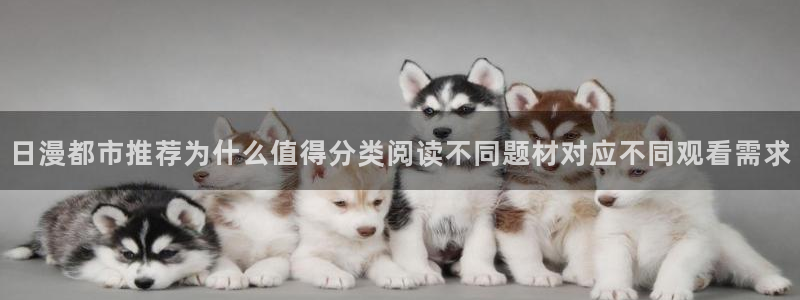 梦漫漫画手机版漫画大全：日漫都市推荐为什么值得分类阅读不同题材对应不同观看需求