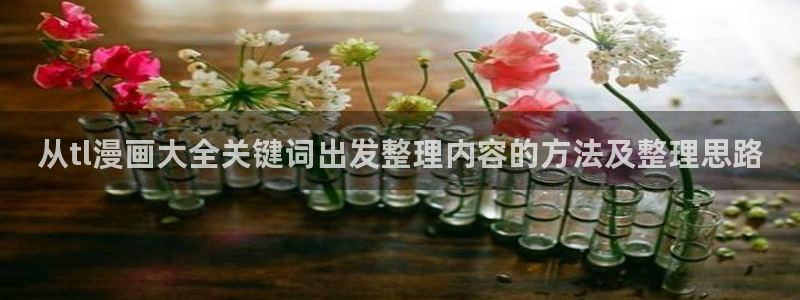 梦漫漫画移动端：从tl漫画大全关键词出发整理内容的方法及整理思路