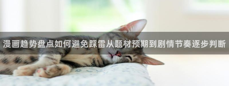 梦漫漫画热门推荐：漫画趋势盘点如何避免踩雷从题材预期到剧情节奏逐步判断